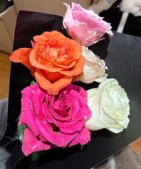 ����������Ҫ���Ƿ�Χ