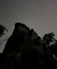 ҹ�����������㣬��ĺúڣ���ƬҲ�ں���