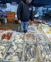 320Ԫ/�����̨���˿�ʼ�ڣ����ϰ�̹�ԣ�һ������10��Ԫ