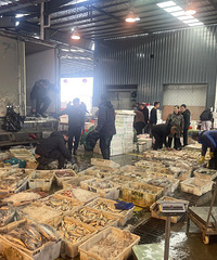 320Ԫ/�����̨���˿�ʼ�ڣ����ϰ�̹�ԣ�һ������10��Ԫ