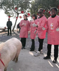 ��������ˡ����ϡ�����ζ�����Ⲩ�Ļ���ײ̫��ͷ��