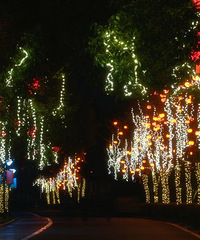 �����ƹܡ���Χ�С�����