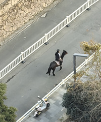 �����������𣿶�������