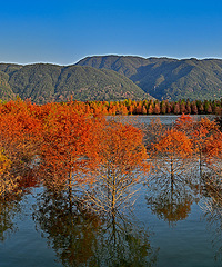 �������ҵ���һĨ��...