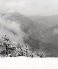 ���쵽��̨�ݷ���ǿ�������Ϣ