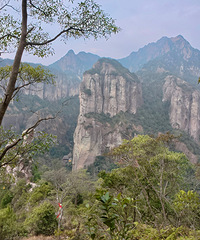 �㵴���룬ʵ�ʰ������пָ�֢���ŵ�