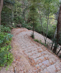 ��2025�μǡ��㵴����