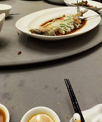 ������ҹ�����Ź���û���ٱ���