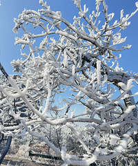 ��̨��������ڡ