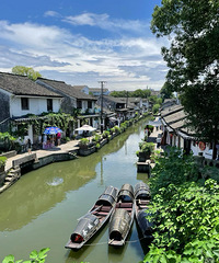 ���۸��᡿̨�ݽ�����������Ũ��Ũ