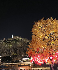 ��������Ը�����Ҹ�����