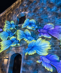 ��������ޡ���Ϧ���ƻ�