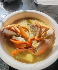 �������ʲô����з��