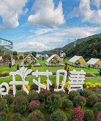 ��ʽ�����Σ����ų��С��ϡ�