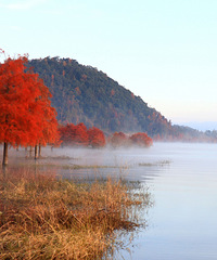 ����������2025����̶�ψ���