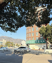 �������·��bba��Ũ������ĸ�