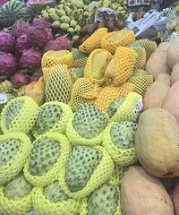 ��2025���μǡ����ǹ�Ȼ�ǹ����ĺõط�