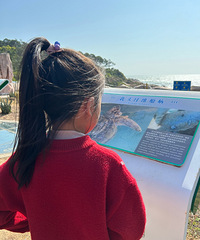 һ·���µ���վ���ݡ������壬Ψһһ��������Ȼ������