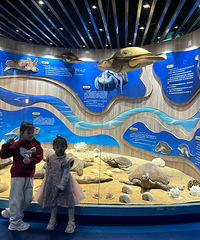 һ·���µ���վ���ݡ������壬Ψһһ��������Ȼ������