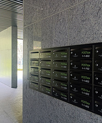 ��2025���ˣ�Ϊʲô�ܶ�С������װ����������û��������