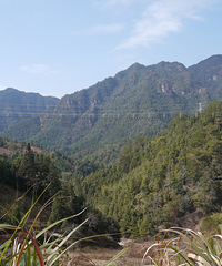 ���Ϲ�ռ��կ������������������