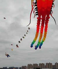 ������ķ��������ݴ�ŷ�