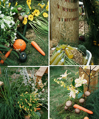 �������������¶��塰���񡱣�