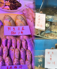 �������ʲô�����ټǲ�Ʒƽ��/������ʮ���ϵ�