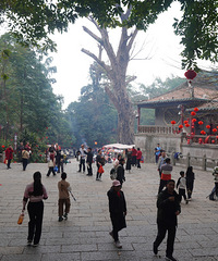 桂平西山:一场自然与人文交织的探秘之旅