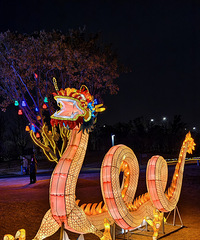 �費�������δ��