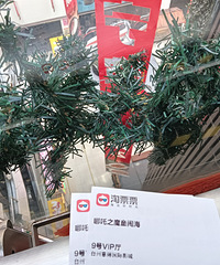 һ�ּ�Ǯ��һ�ֻ������VIPƱ��100����������ʶ�����õ�