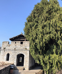 ��侹ųǣ��ƾ���һ�㣬ȴ����һ����ζ