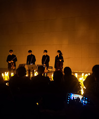 �������õ��������ֻ�����