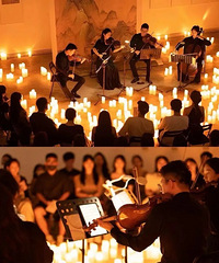 �������õ��������ֻ�����