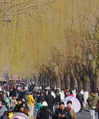 �ֲ�-10�棡�ֿ����ͣ������׳���������������¸߶�