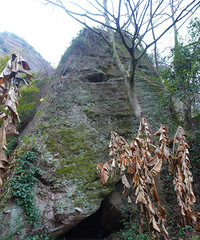 �������μǣ���Ъ�����̽��֮��