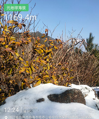 һ�����㲽����ɽ��̨����ɽ�Ͻ���һ����ѩ