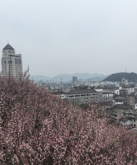 �ٺ�������÷��