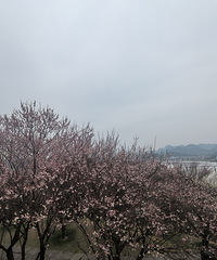 �ٺ�������÷��