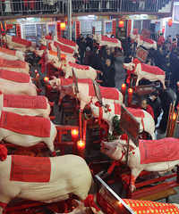 �¡���������780�