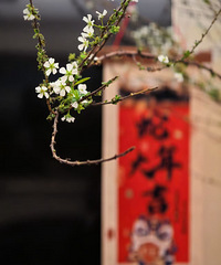 �ܴܵ��˴�����������޵�Ů���ѻؼң������Ƕ�ը��