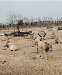 ���޴��л���¹԰