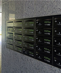 ��2025���ˣ�Ϊʲô�ܶ�С������װ������