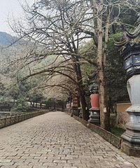 天童寺阿育王寺一日游