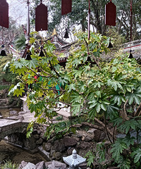 87��δ�����������ţ������ϰ࣬��ͨ��н��