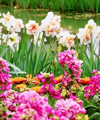 0���20�棬̨���������£���һ����������ں򳡡���