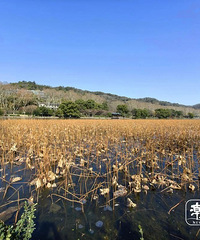 -4��J20�棡�㽭�������¿�쭣�Ԫ����������