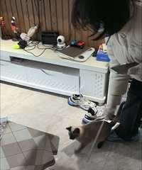 13��׬5000�࣡23��Ů�����ڲ��ؼң����㽭��ְ����ιè