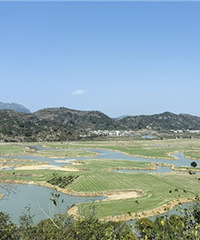 ̤���ҽ�ʮ���