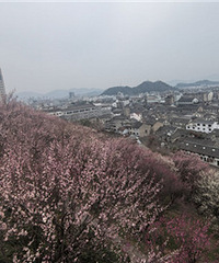 �ٺ�������÷��